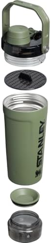 STANLEY Vitalize Shaker Bottle, 20 oz, Dried Pine