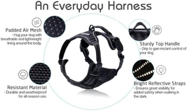 rabbitgoo Dog Harness, No Pull for Large Dogs with 2 Leash Clips, Pet Vest