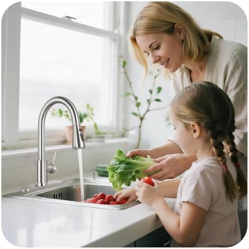 Brushed Nickel Kitchen Faucet with Pull Down Sprayer and Deck Plate