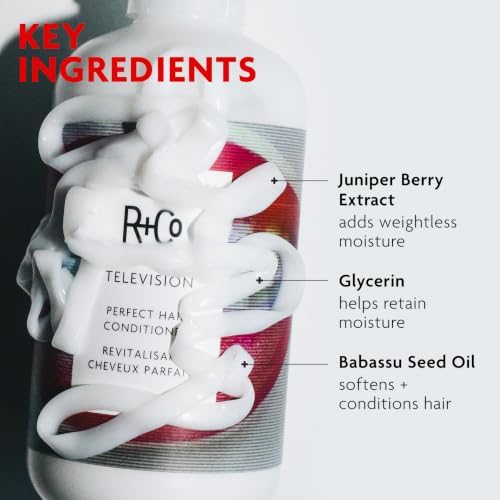 R+Co TELEVISION Perfect Hair Conditioner