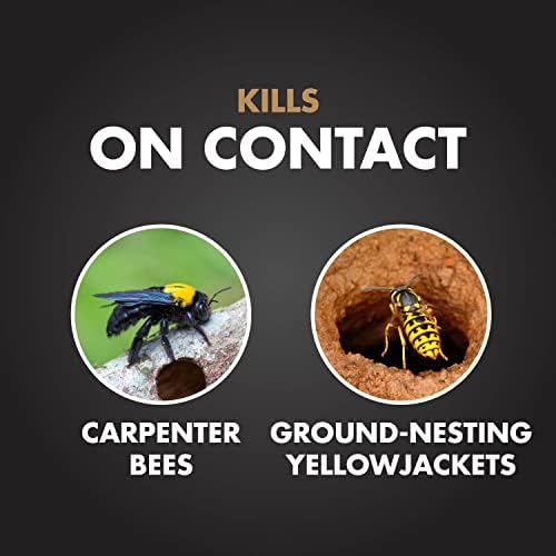 Spectracide Carpenter Bee & Gound-Nesting Yellowjacket Killer 16 Oz, 3 Pack
