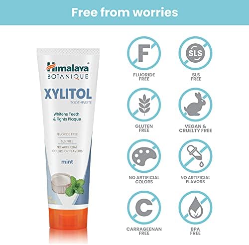 Himalaya Botanique Xylitol Fluoride-Free Toothpaste, Mint Flavor, 4 oz