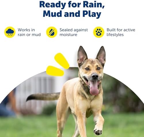 PetSafe RFA-67 6V Replacement Battery, 6-Pack | Genuine RFA-67 6V Lithium Batteries, Each Lasts 1-3 Months