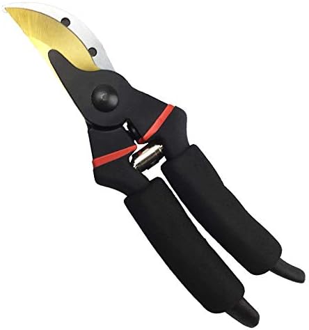 gonicc 8" Professional Premium Bypass Titanium Pruning Shears(GPPS-1003)