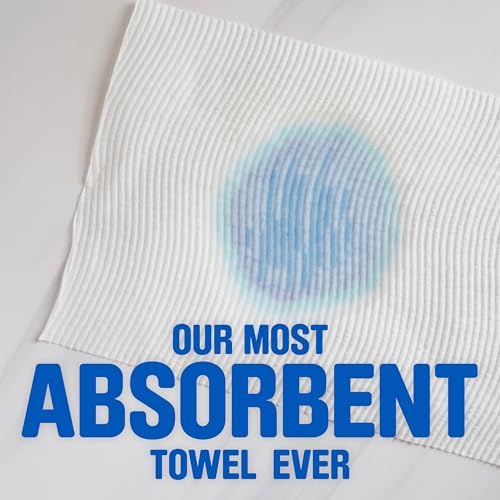 Scott Paper Towels, Choose-A-Sheet, 2 Double Rolls = 4 Regular Rolls (100 Sheets Per Roll)