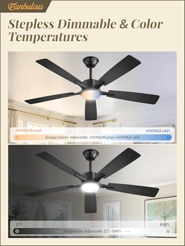 Fanbulous 52 Inch Ceiling Fans with Lights, Black, Remote & APP Control