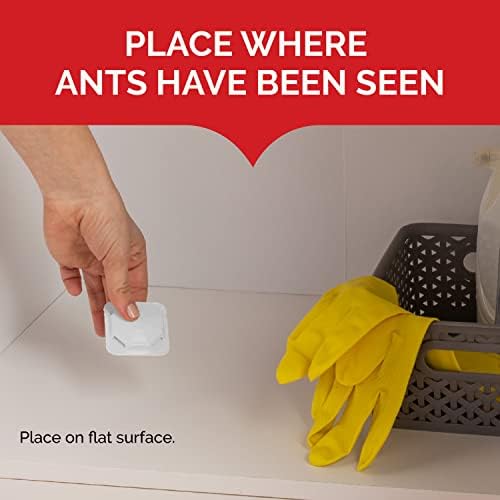 Hot Shot MaxAttrax Ant Bait 8 Count, Child-Resistant Bait Stations