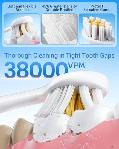 Aneebart Sonic 2 Pack Electric Toothbrush for Adults, Travel Toothbrush Includes 12 Replacement Toothbrush Heads, 6 Modes with 2 MIN Smart Timer (Black White)