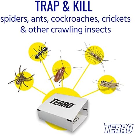 TERRO Spider & Insect Trap, 10-Pack Sticky Glue Traps