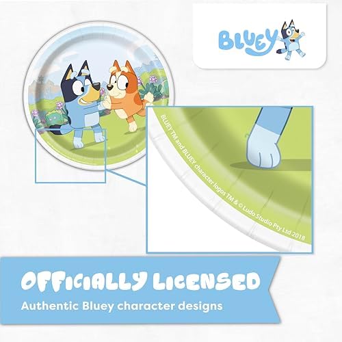 Bluey Birthday Decorations, Party Supplies, Serves 16 Guests