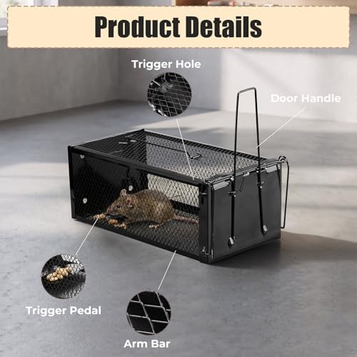 2 Pack Humane Rat Traps 12.5"x5.5"x4.5", Reusable Mouse Traps for Indoor/Outdoor Use, No-Kill Live Capture for Chipmunks, Rats, Mice