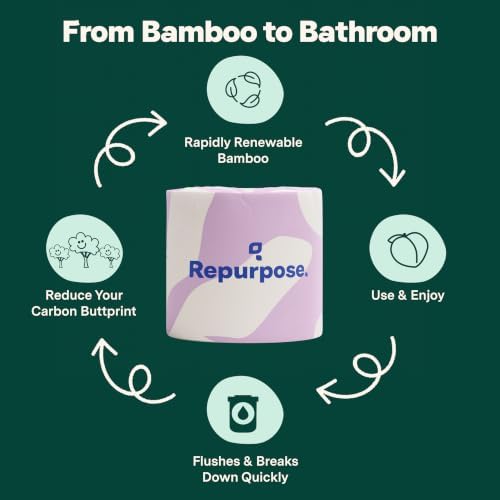 Repurpose 100% Compostable Bamboo Toilet Paper, 12 Rolls, 300 Sheets/Roll