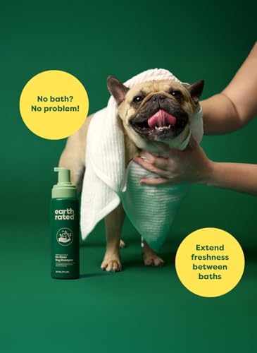 Earth Rated Waterless Shampoo & Conditioner, White Tea & Basil, 7 oz