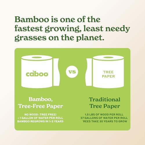 Caboo Tree Free Paper Towels, 2 Rolls, Tree Free, Plastic Free, Earth Friendly, Sustainable Kitchen Paper Towels with Strong 2 Ply Sheets