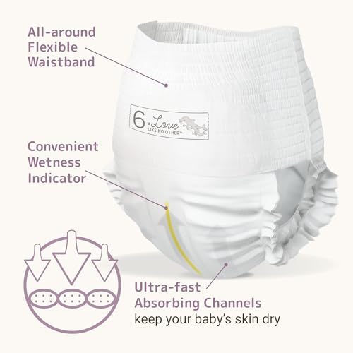 Bambo Nature Hypoallergenic Training Pants, Eco-Labeled Training Pants, Totally Chlorine-Free - Size 6 (19 Count)