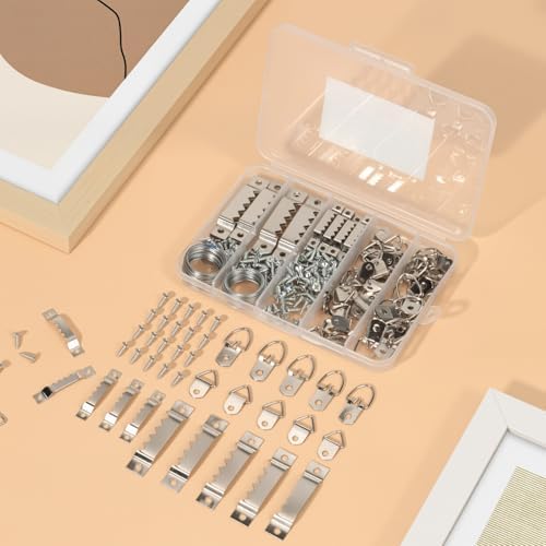 251Pcs Picture Hanging Kit, Dual-Size Heavy Duty Picture Hanging Hardware