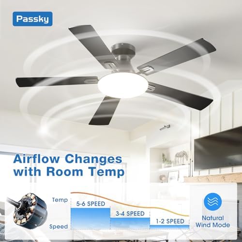 Passky 52 Inch Black Low Profile Ceiling Fans with Lights and Remote