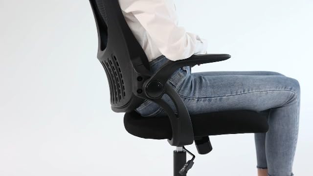 Sweetcrispy Computer Desk Chair, Mesh Office Chair with Lumbar Support