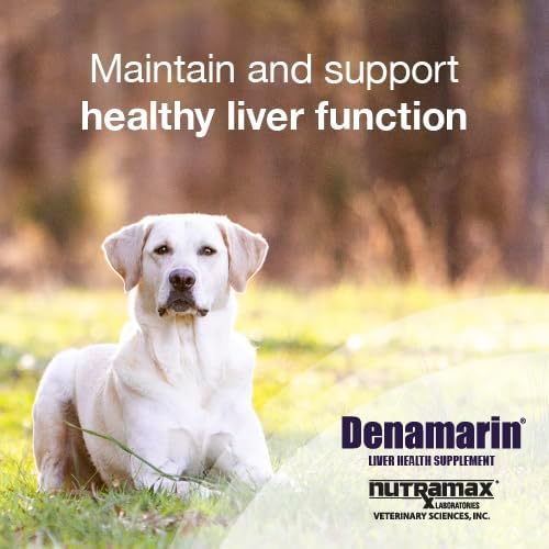 Nutramax Denamarin Liver Supplement for Dogs, Chewable Tablets, 30ct | Liver Support for Dogs, contains S-Adenosylmethionine (SAMe) + Milk Thistle Silybin, All Ages & Sizes, Chewable Tablets