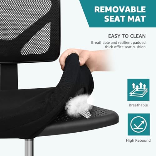 OLIXIS Armless Home Office Chair, Ergonomic Small Desk Chair