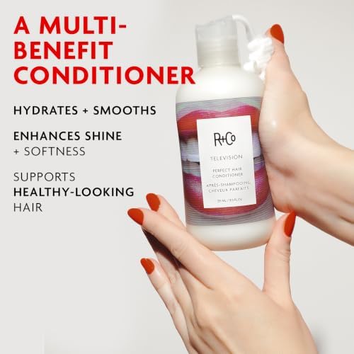 R+Co TELEVISION Perfect Hair Conditioner