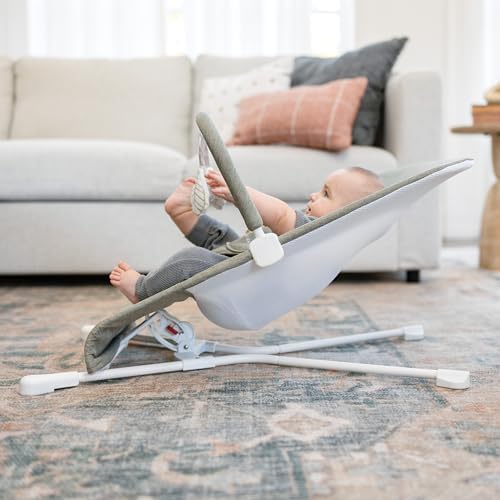 Baby Delight Highland Baby Bouncer, Sage Tweed