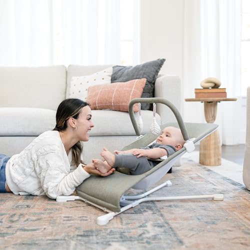 Baby Delight Highland Baby Bouncer, Sage Tweed