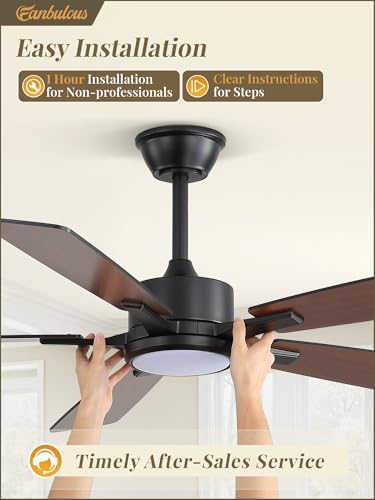 Fanbulous 52 Inch Ceiling Fans with Lights, Black, Remote & APP Control