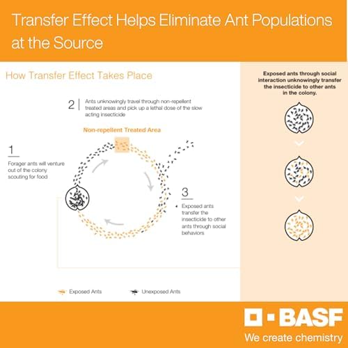 BASF Alpine WSG Insecticide, Soluble Granules, Indoor Outdoor Pest Control