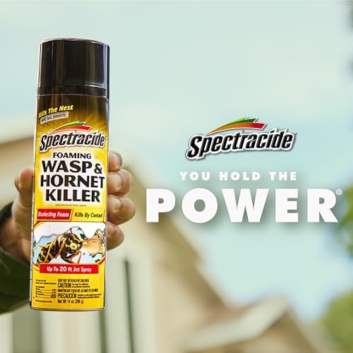 Spectracide Foaming Wasp & Hornet Killer 14 Oz, Kills by Contact