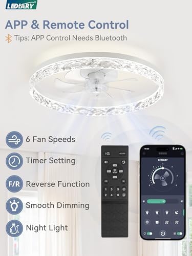 LEDIARY 20" Modern Ceiling Fans with Lights and Remote, White Fandelier