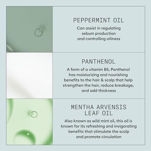 NIOXIN Density Defend Styling Collection | Texturizes and Volumizes