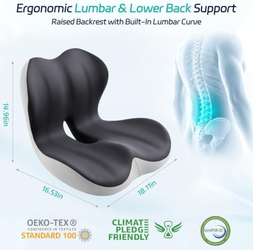 Seat Cushion & Back Support for Tailbone and Lower Back Relief
