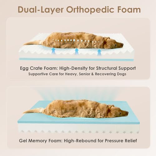 EHEYCIGA Orthopedic XL Dog Bed for Large Dog, Memory Foam Dog Couch, Grey