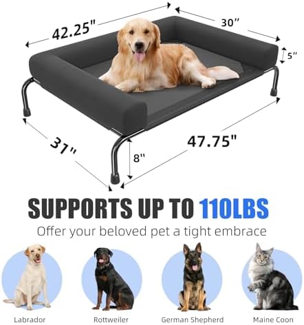 Simple Trending Elevated Dog Bed for Large Dogs with Bolsters, Black