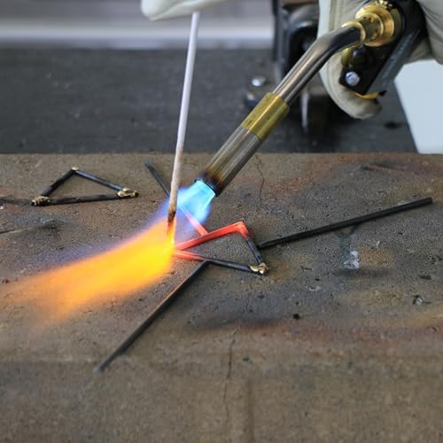 Bernzomatic Trigger Start Torch (TS 8000 Torch)