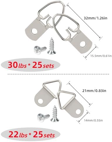 251Pcs Picture Hanging Kit, Dual-Size Heavy Duty Picture Hanging Hardware