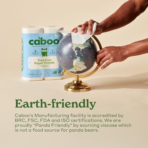 Caboo Tree Free Paper Towels, 2 Rolls, Tree Free, Plastic Free, Earth Friendly, Sustainable Kitchen Paper Towels with Strong 2 Ply Sheets
