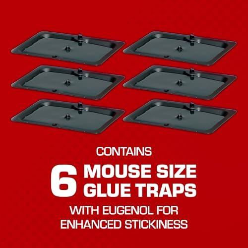 Tomcat Glue Traps Mouse Size with Eugenol for Enhanced Stickiness, 6 Traps
