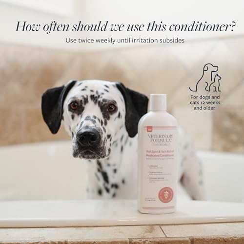 Veterinary Formula Clinical Care Hot Spot & Itch Relief Conditioner, 16 oz