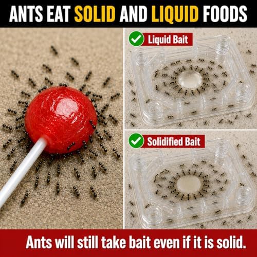 Catchmaster Defiant Liquid Ant Killer & Bait, Sugar Ant Traps Indoor
