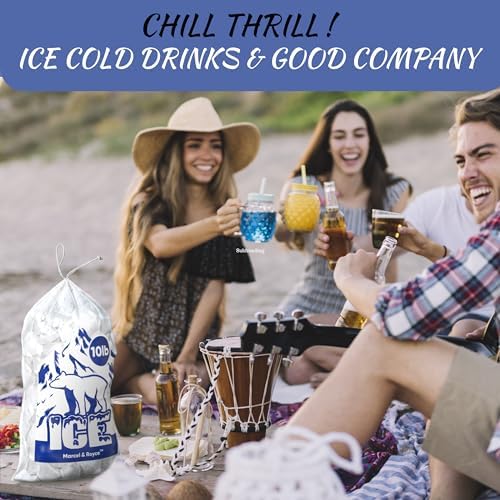 100-Pack 10 LB Reusable Plastic Ice Bags With Drawstring-Bolsas Para Hielo