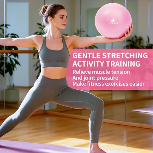 9" Pink Pilates Ball with Air Pump for Core & Balance