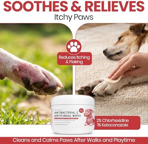 Dog Paw Wipes Antibacterial 50 Count - Antifungal Wipes for Dogs