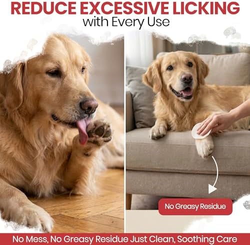 Dog Paw Wipes Antibacterial 50 Count - Antifungal Wipes for Dogs