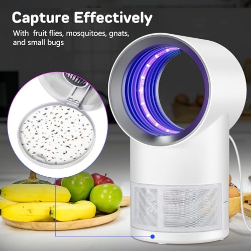 Fly Trap Indoor,White Gnat Traps House Indoor,Timed Indoor Insect Trap
