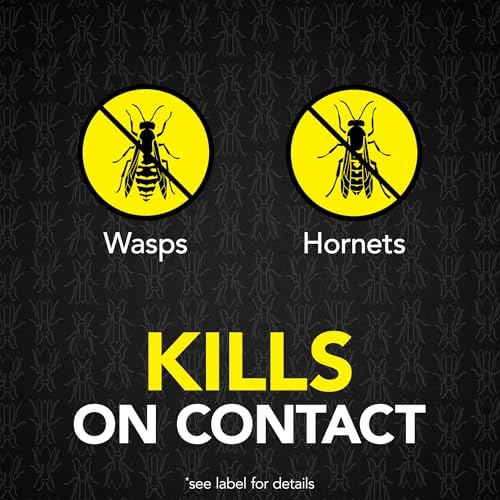 Raid MAX Foaming Wasp & Hornet Killer Bug Spray, 16.5 oz