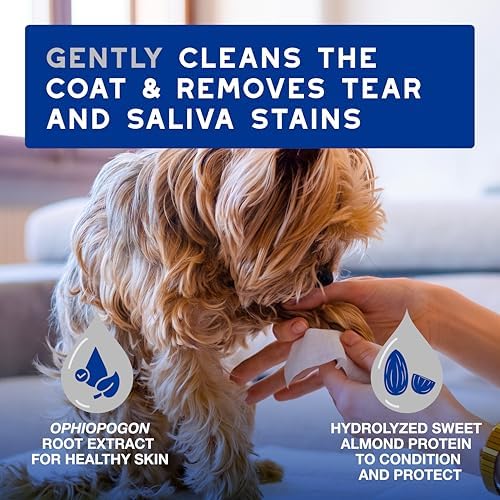 DOUXO SPA Dog Wipes for Paws, Butts, Tear Stains and Cleaning, 100 Wipes
