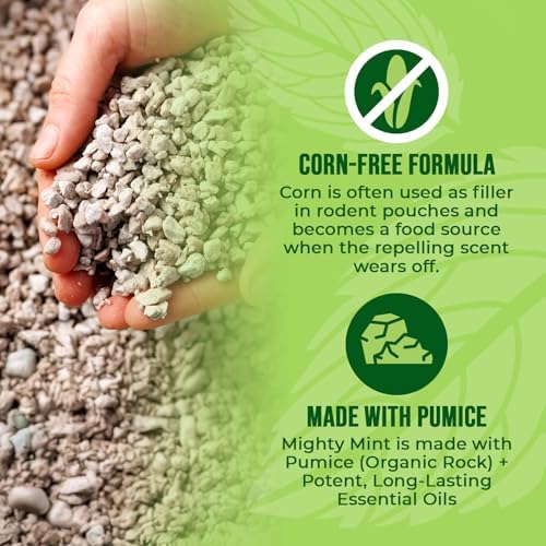 Mighty Mint Mouse Repellent Pouches with Glue Dots, 12 Count
