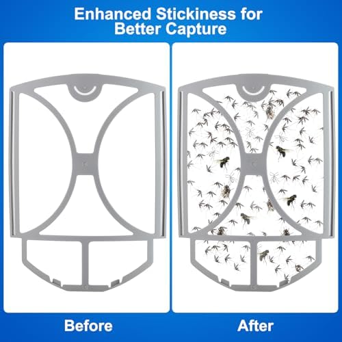 Flying Insect Trap for Fruit Flies,Gnats,1 Devices & 3 Refills